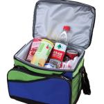 Outdoor Polyester Fitness Travel Insulated Lunch Cooler Bag For Adults