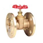 Customized Brand Brass Gate Valve 1.6MPa Brass Flanged Gate Valve