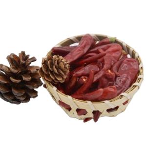 Wholesale Packaging 25KG Dried Guajillo Chili With Strong Pungent Chilli Flavor 10-15cm from china suppliers
