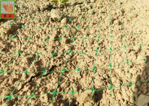Wholesale Polypropylene Agricultural Turf Netting Green Color Hole Size 35mm * 20mm from china suppliers