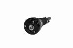 2213209113 S350 Mercedes Benz Air Suspension Spring Struts W221 S450 S500