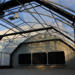 Anti UV PE Film Light Deprivation Greenhouse With Automatic Ventilation System