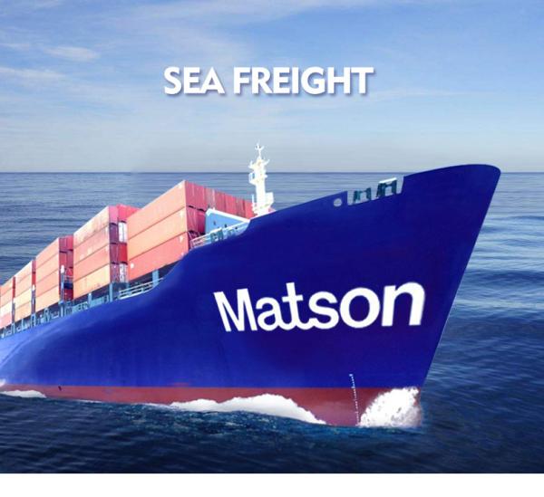 Professional Sea Freight Forwarder , Sea Cargo Services Qingdao To Dallas New