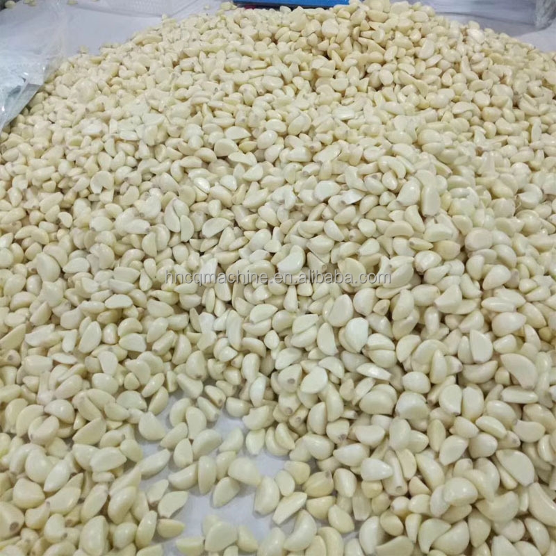 Full Automatic Garlic Separating Machine Garlic Breaking Peeling Sorting Machine 100-150KG/H