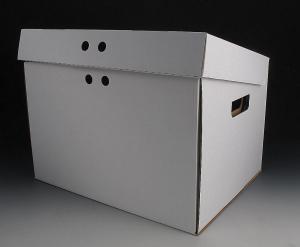 Wholesale Simple &amp; fashionable new carton files boxes from china suppliers