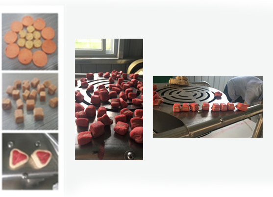 Jerky Treats / Pet Food Processing Line / Cold Extrusion Pet Food Making Machine