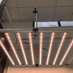 RedFarm 650W 8Bars Foldable LED Grow Lights Samsung LM301B For Commercial