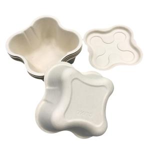 Wholesale Wet Press Bamboo Paper Tray 1mm Thickness Biodegradable For Cat Products from china suppliers