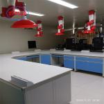 Fast Installation and Customizable Chemistry Modular Lab Furnitures Manufacturer