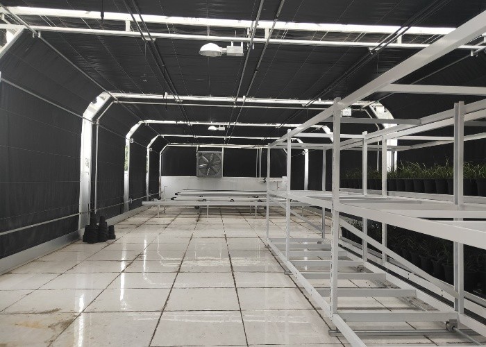 Automatic Light Deprivation Greenhouse Blackout System Greenhouse For Medical Plants