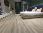 Anti Bacterial 0.3mm Wear Layer Moldproof WPC Vinyl Plank