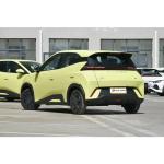 BYD Seagull 100% Electric 405 km Cruising Range Perfect for 's Energy Vehicle