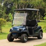 Affordable 2 Seaters Electric Golf Cart With Lithium Battery