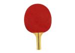 Family Beginner Table Tennis Bats Simple Standard Size Pimple Out Rubber Without