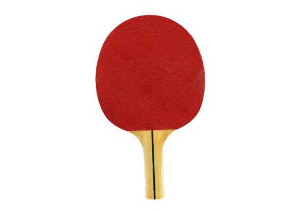 Family Beginner Table Tennis Bats Simple Standard Size Pimple Out Rubber Without
