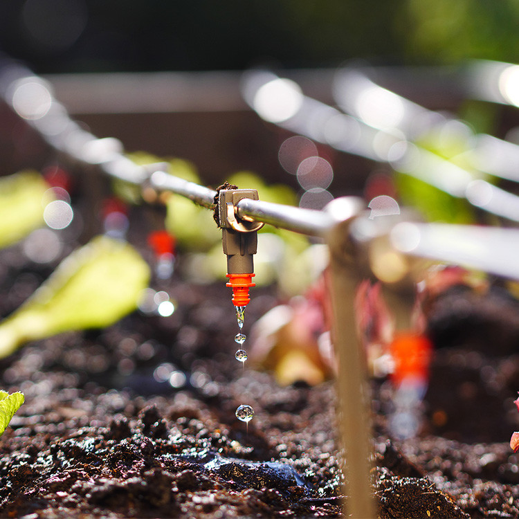 Automatic System Plants Growing Farming Rigger Greenhouse Drip Irrigation System