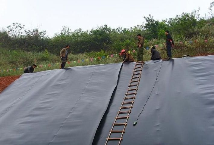 1mm 2mm 3mm Smooth Surface HDPE Plastic Waterproof Geomembrane for High Density Market
