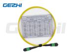 12 Fibre Multimode Patch Cable Series Female OS2 9/125 MPO Cable