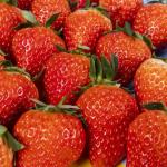 Natural Pure Fresh Strawberry Flavor Powder For Feed Palatability