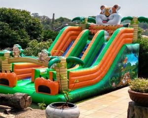 Wholesale Tiger Double Side Inflatable Jump Bouncer Adult Bouncy Castle from china suppliers