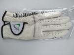 golf glove , golf gloves , glove , gloves