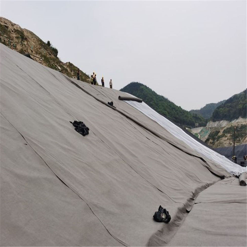 Composite Drainage Geomembrane for Drainage Engineering Length 50m/roll as Request