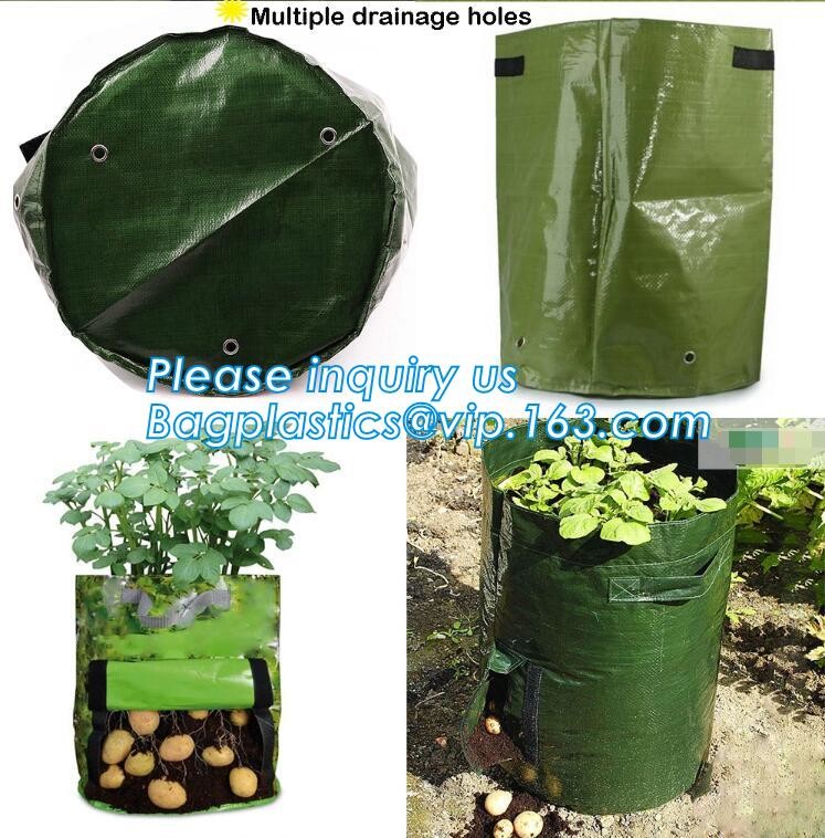 1 / 2 / 3 / 5 / 7 / 10 / 15 / 20 / 25 / 30 gallon Non woven Fabric Pot Plant Grow Bags,Fabric Pots Greenhouse Felt Non W