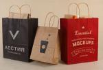 Embossed Printing Paper Bag 250gsm Printed Paper Carrier Bags
