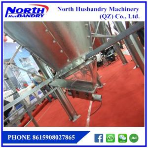 Wholesale poultry ground raising main feeding line with hot galvaized hopper pan silo from china suppliers