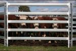 corral fence panels