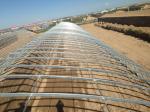 Film Cover Passive Solar Greenhouse for Sustainable Flower and Vegetable