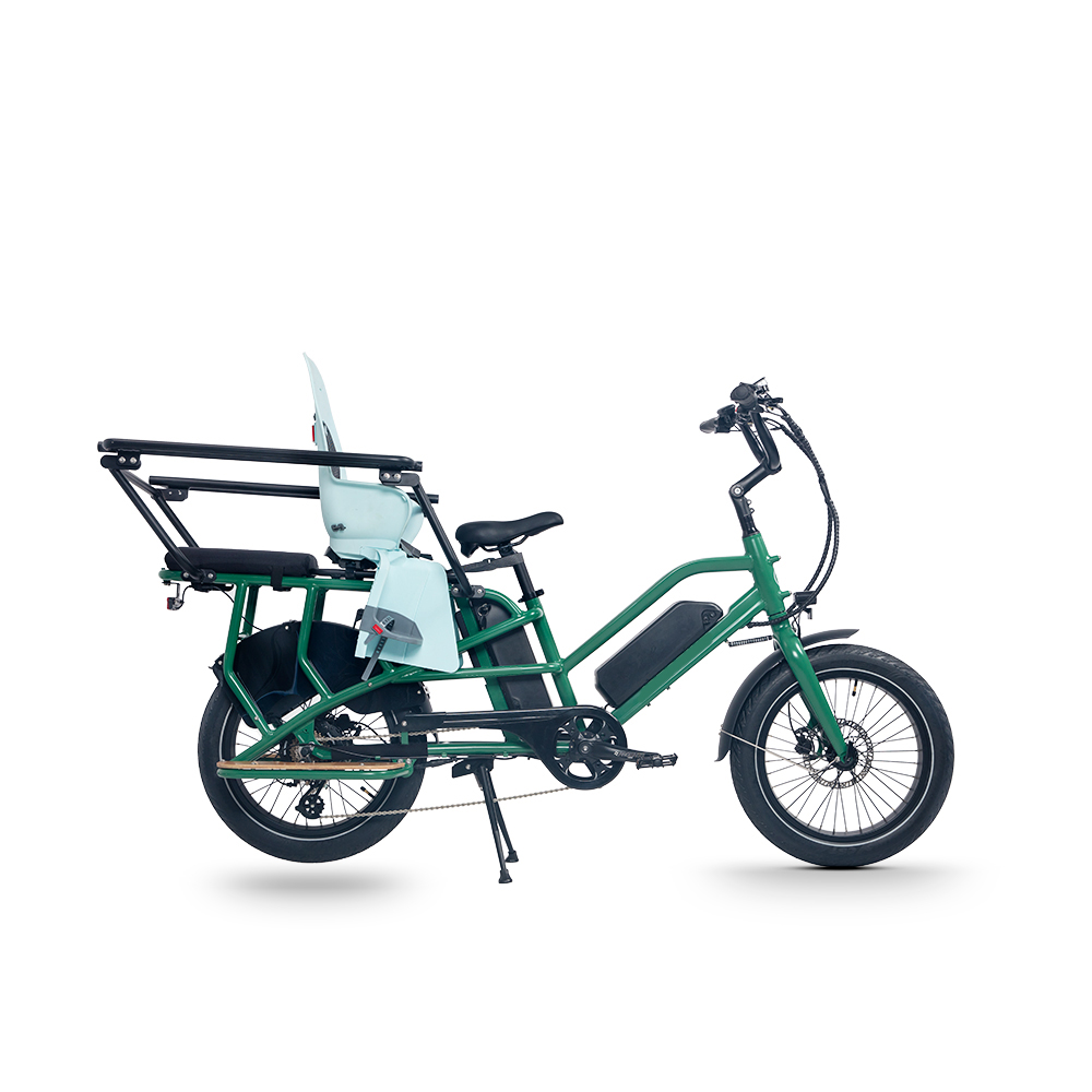 Customized Electric Delivery Bikes with Dual Battery and Two Wheels in Foldable Design