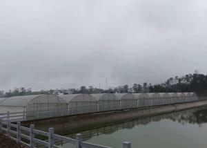 Wholesale Intelligent Control Agricultural Greenhouse For Farming Vegetables Flowers from china suppliers