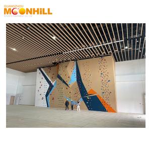 Wholesale Training Rope Speed Climbing Wall Outdoor Indoor Waterproof For School Gym from china suppliers