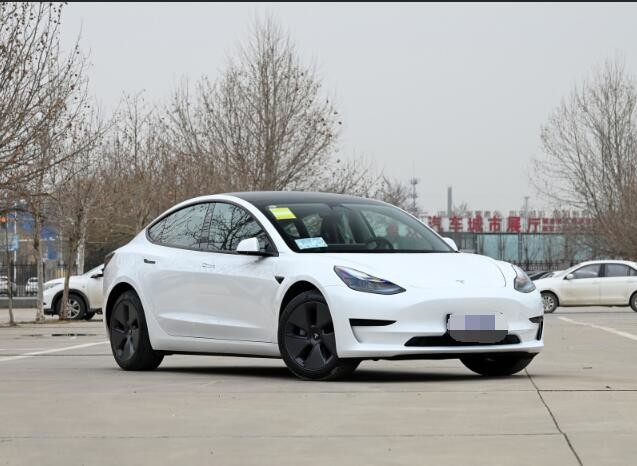 Tesla Model 3 2022 Version Pure Best Electric Cars Four Wheel Drive