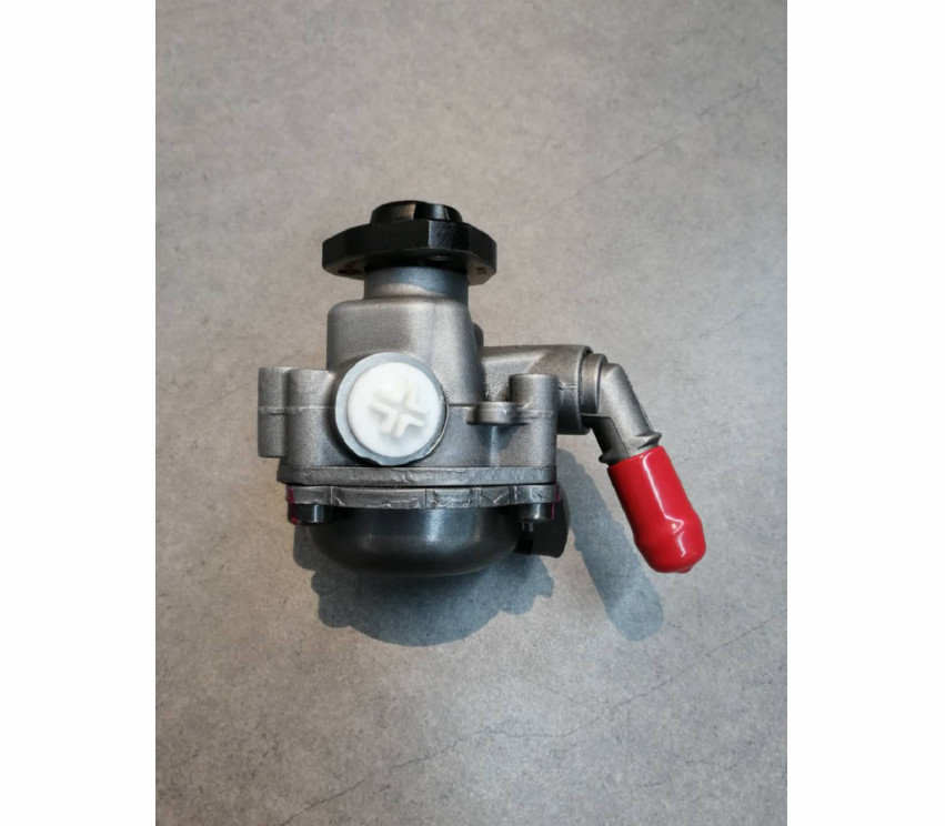 6N0422154D 2KG VW Steering Pump For Polo Aev Polo Box 1.4