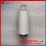 Road VehicleTubular Ceramic FUSE RS309-MF 200A 750VDC(UL) AR 700AC IEC 20KA 5