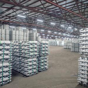 Wholesale Zinc Metal Ingots High Quality Pure Zinc Ingot 99.995% Factory Price Special High Grade Zinc Ingots from china suppliers