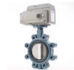 Capacity PN16 Fully Di Butterfly Valve Wafer Type Butterfly Valve SS316 Body
