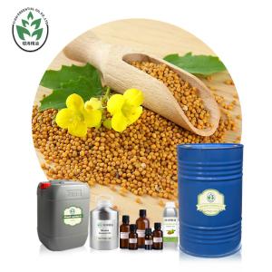 Wholesale CAS 8007 40 7 Organic Mustard Seed Essential Oil Cosmetic Grade from china suppliers