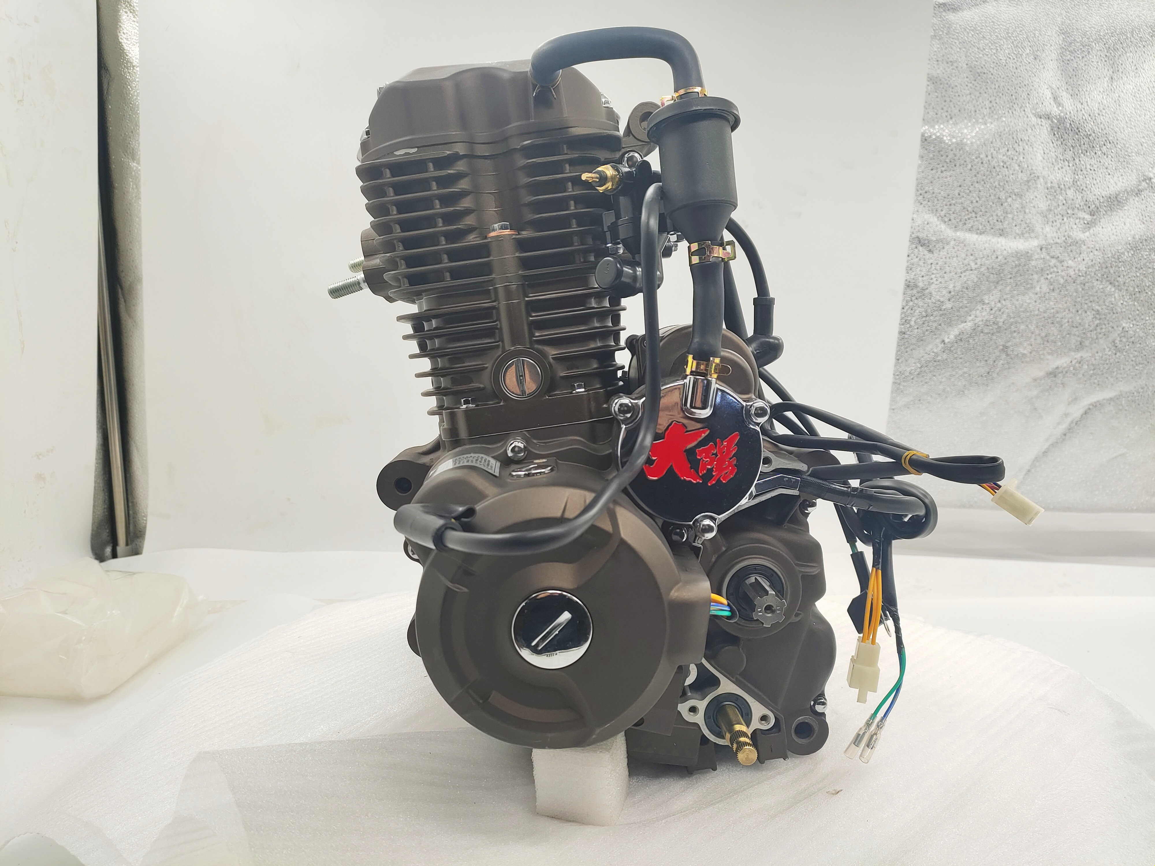 CDI Ignition DAYANG CG300 A-CLASS Motorcycle Cylinder Sea Electric/Kick Start 300cc Engine