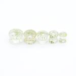 Dried Flowers Inside Ear Tunnel Piercing Jewelry Acrylic Faux Opal 2G