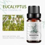 5ml Home Fragrance Essential Oils Plant Eucalyptus COA OEM For Medicine