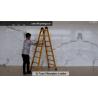 Buy cheap A Type 1.37m 2X5 Fiberglass Telescopic Ladder from wholesalers