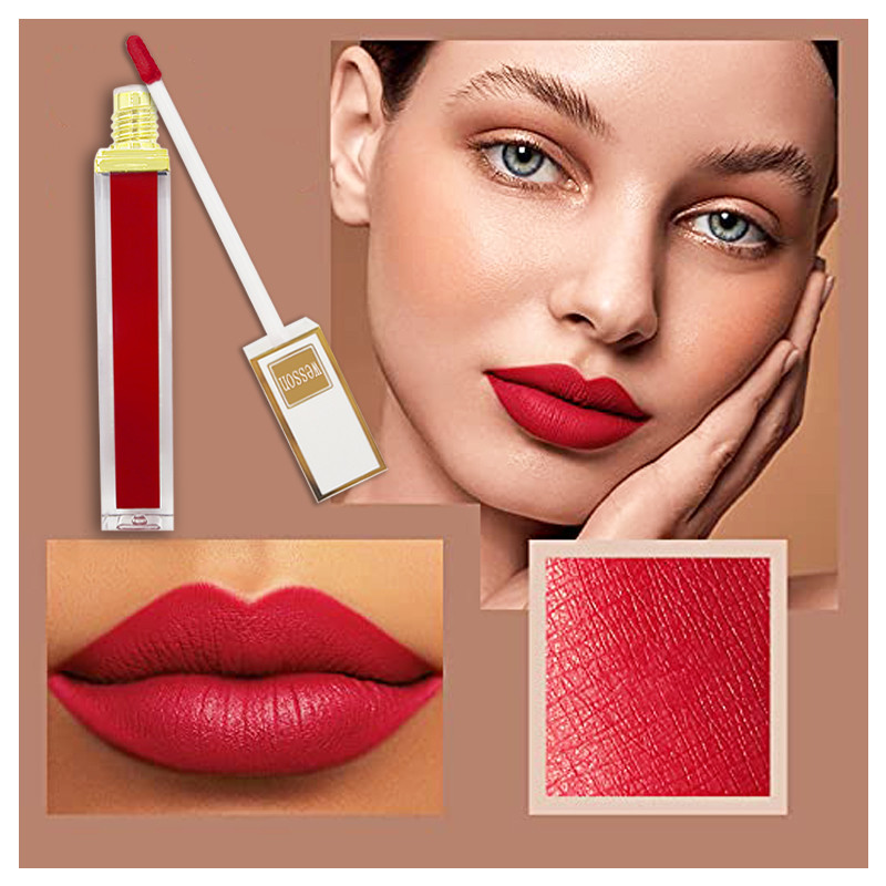 2.5g 60C Color Matte Glossy Lipstick 500pcs Natural Waterproof Gloss Lipstick