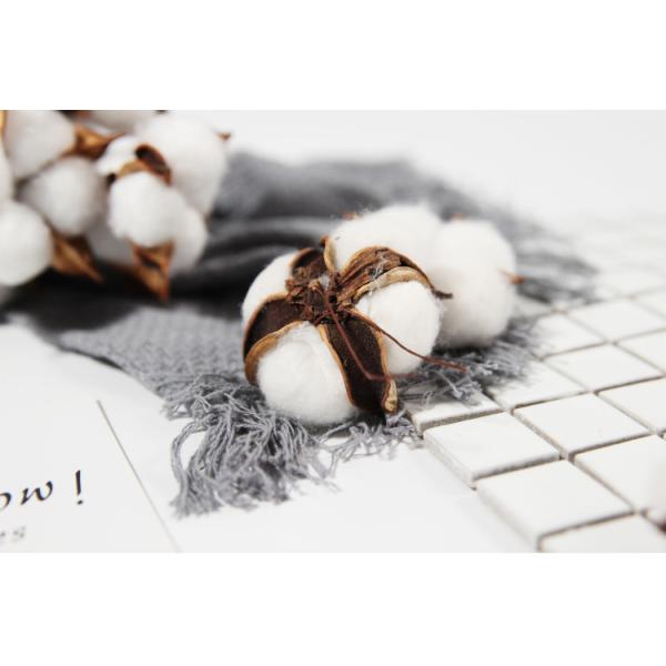 5cm Cotton Dried Flower Bunches