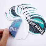 Hologram Custom Die Cut Sticker Print Durable Waterproof Vinyl Paper Decoration