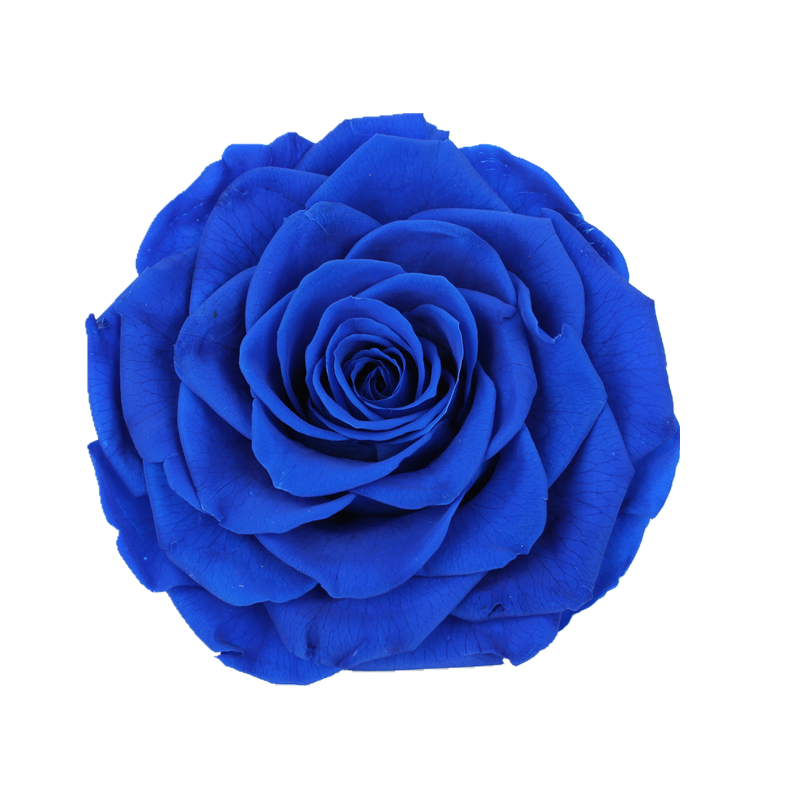 Home Decor Preserved Rose Heads Creative Household Decorative Furnishings