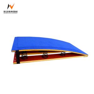 Wholesale Blue Professional Competition or Training School Gymnastic Jump Spring Board with 9 Springs from china suppliers