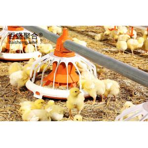 Wholesale Steel Farming Prefabricated Poultry Farm Construction with Chicken Cages and Metal Sheds from china suppliers
